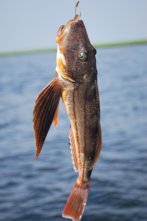 Picture 032_����.jpg