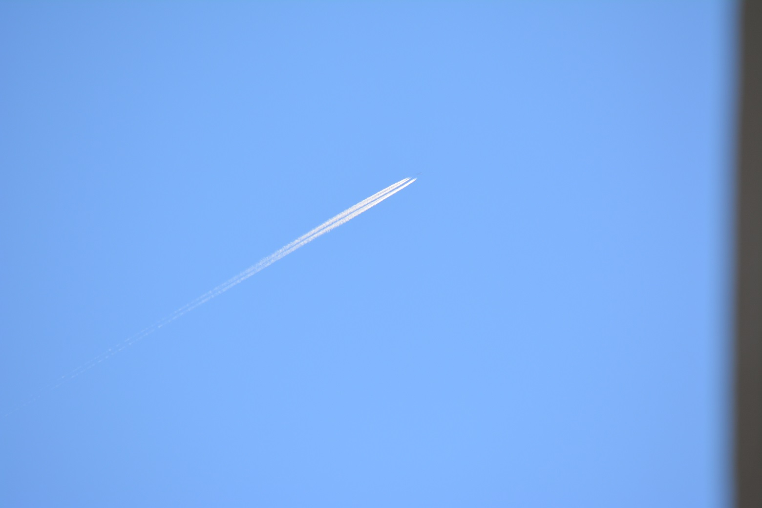 DSC_0081.JPG