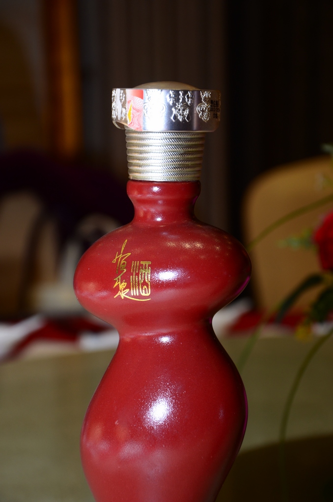 DSC_0022.JPG
