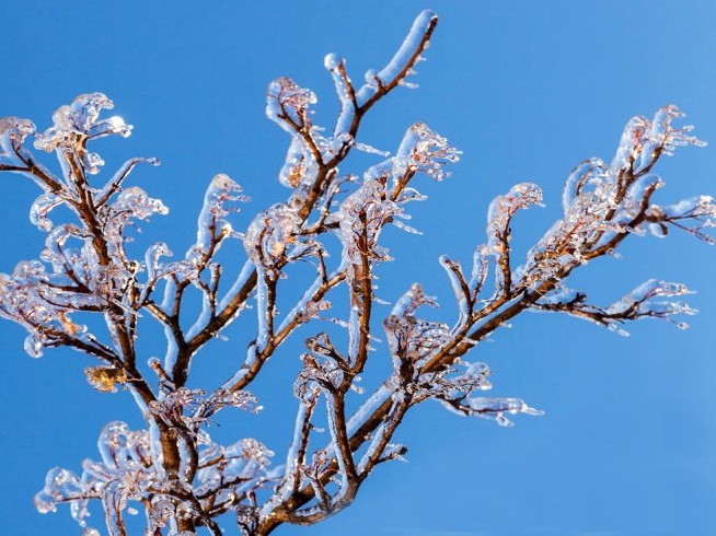 Toronto Ice Storm 2013-5.JPG