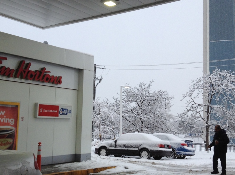 Toronto Ice Storm 2013-24.JPG