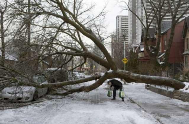 Toronto Ice Storm 2013-26.JPG