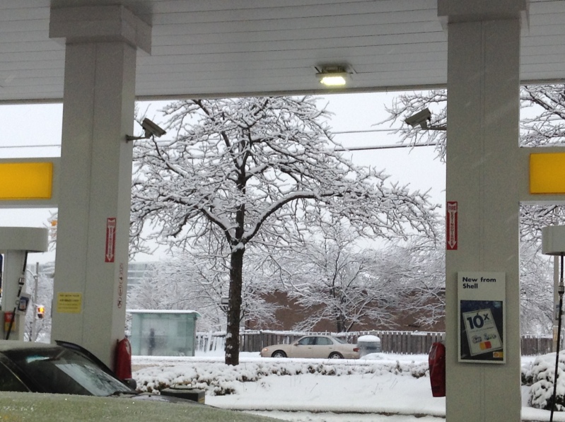 Toronto Ice Storm 2013-28.JPG