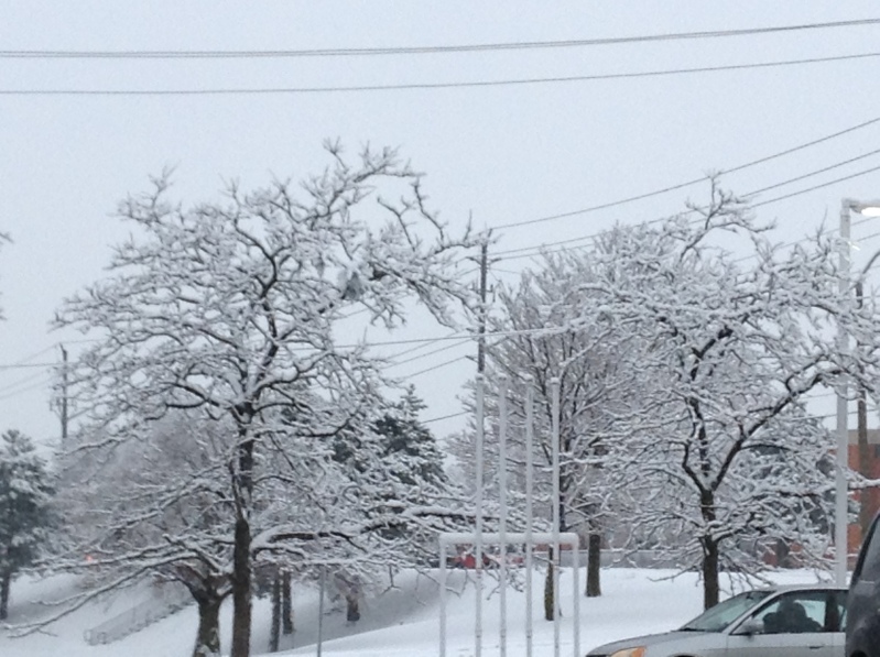 Toronto Ice Storm 2013-45.JPG