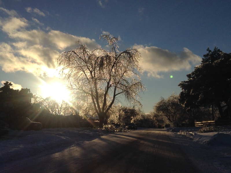 Toronto Ice Storm 2013-33.JPG