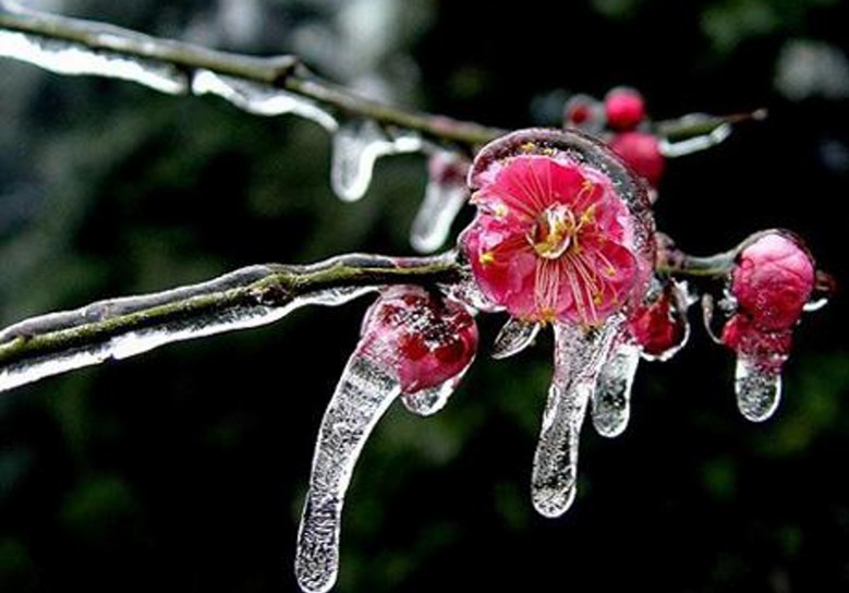 20091118192238_conew606.jpg
