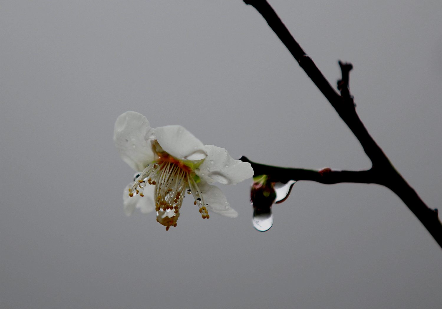 IMG_3292_.jpg
