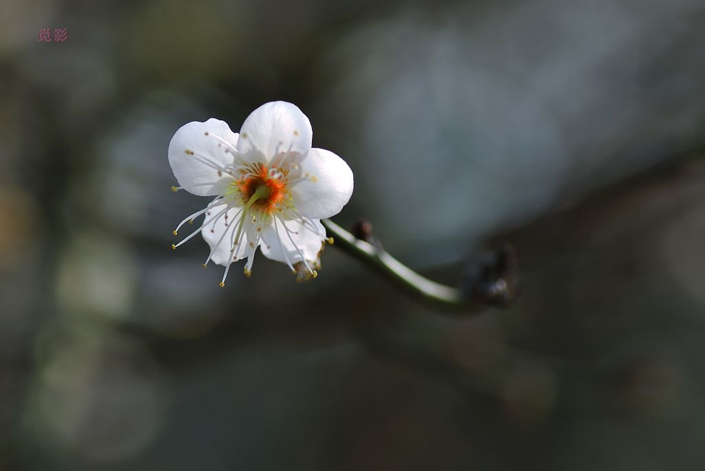DSC_3429.jpg