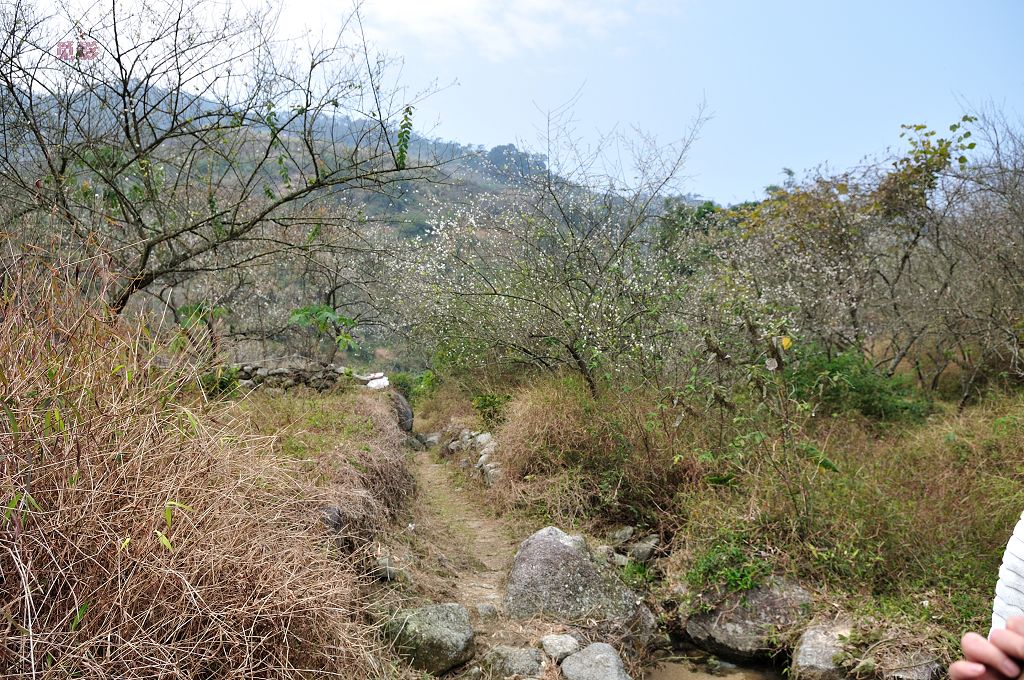 DSC_3332.jpg