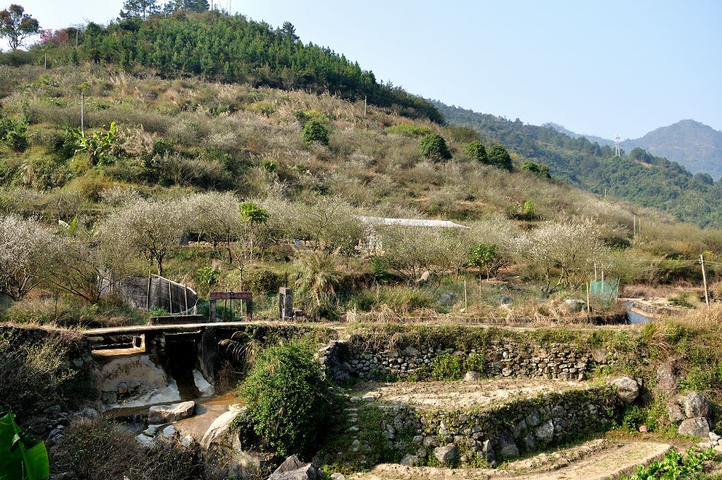 DSC_3813.jpg