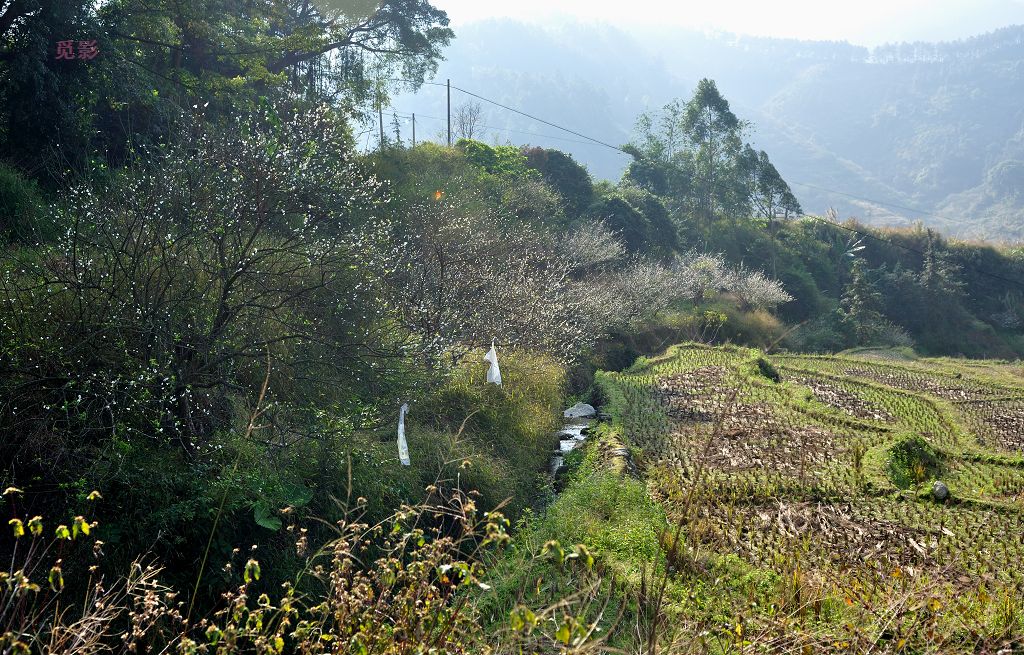 DSC_3809.jpg