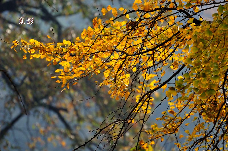 DSC_92123.jpg
