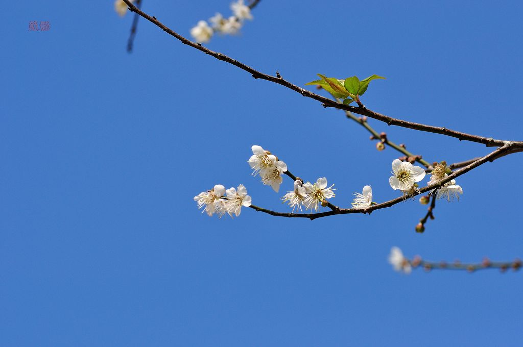 DSC_3438.jpg