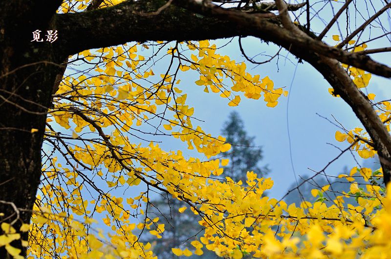 DSC_92157.jpg