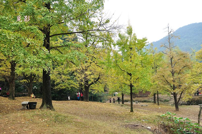 DSC_91574.jpg