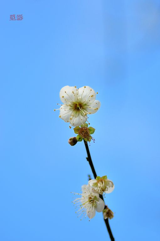 DSC_3361.jpg