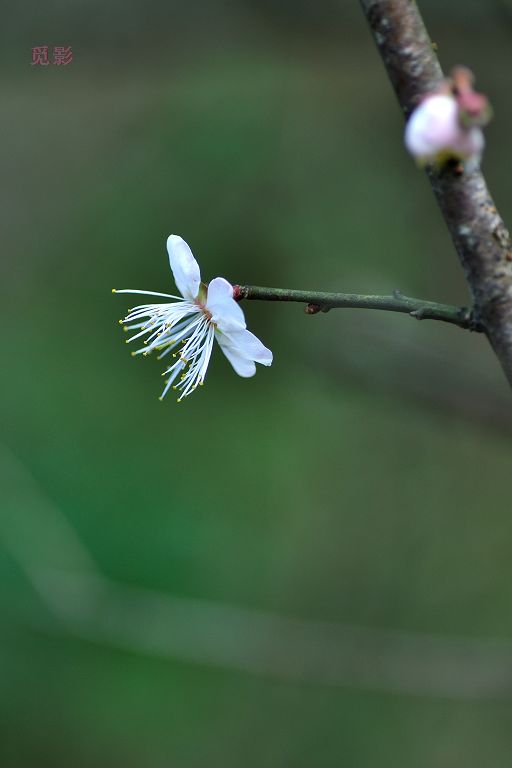 DSC_3394.jpg