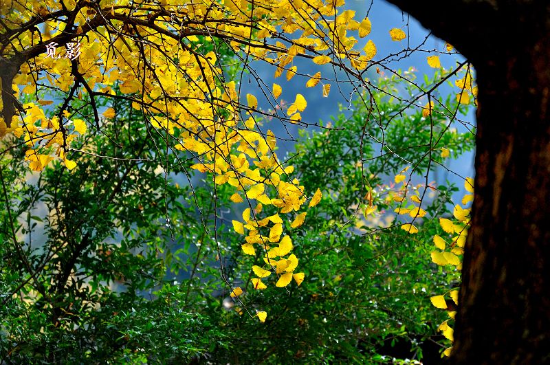 DSC_92112.jpg