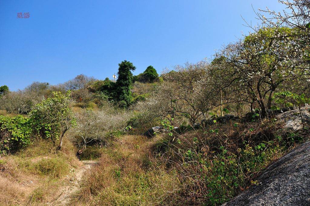 DSC_3596.jpg