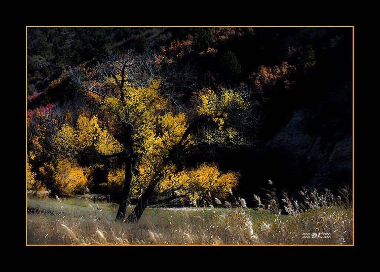DSC_4316C2.jpg