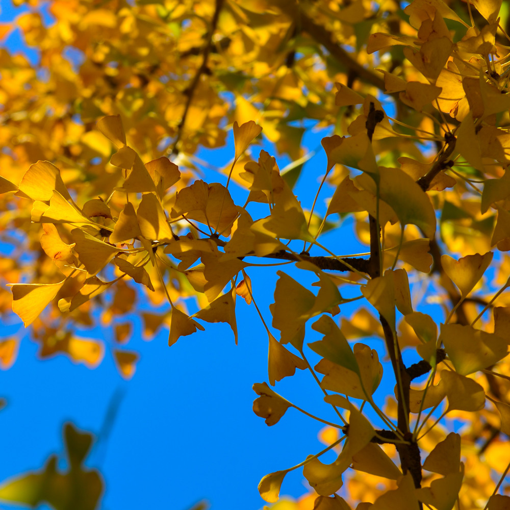 DSC_0587_009.jpg