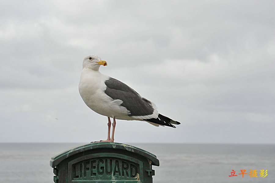 158.jpg