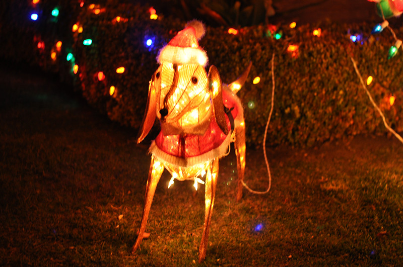 Christmas -- 2013 139_.jpg