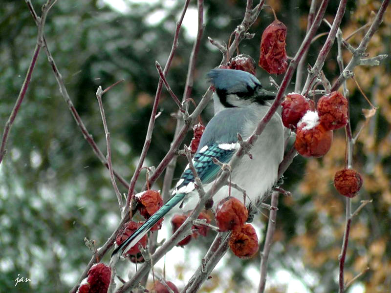 H3200008=.jpg