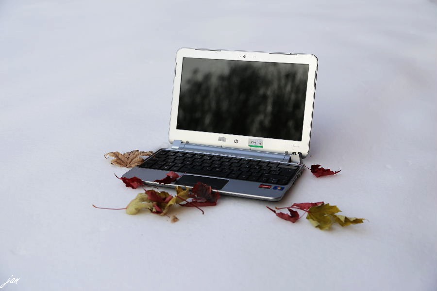 nEO_IMG_IMG_7195.jpg