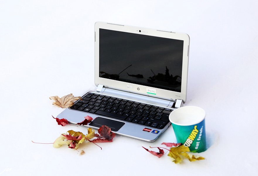 nEO_IMG_IMG_7204=.jpg