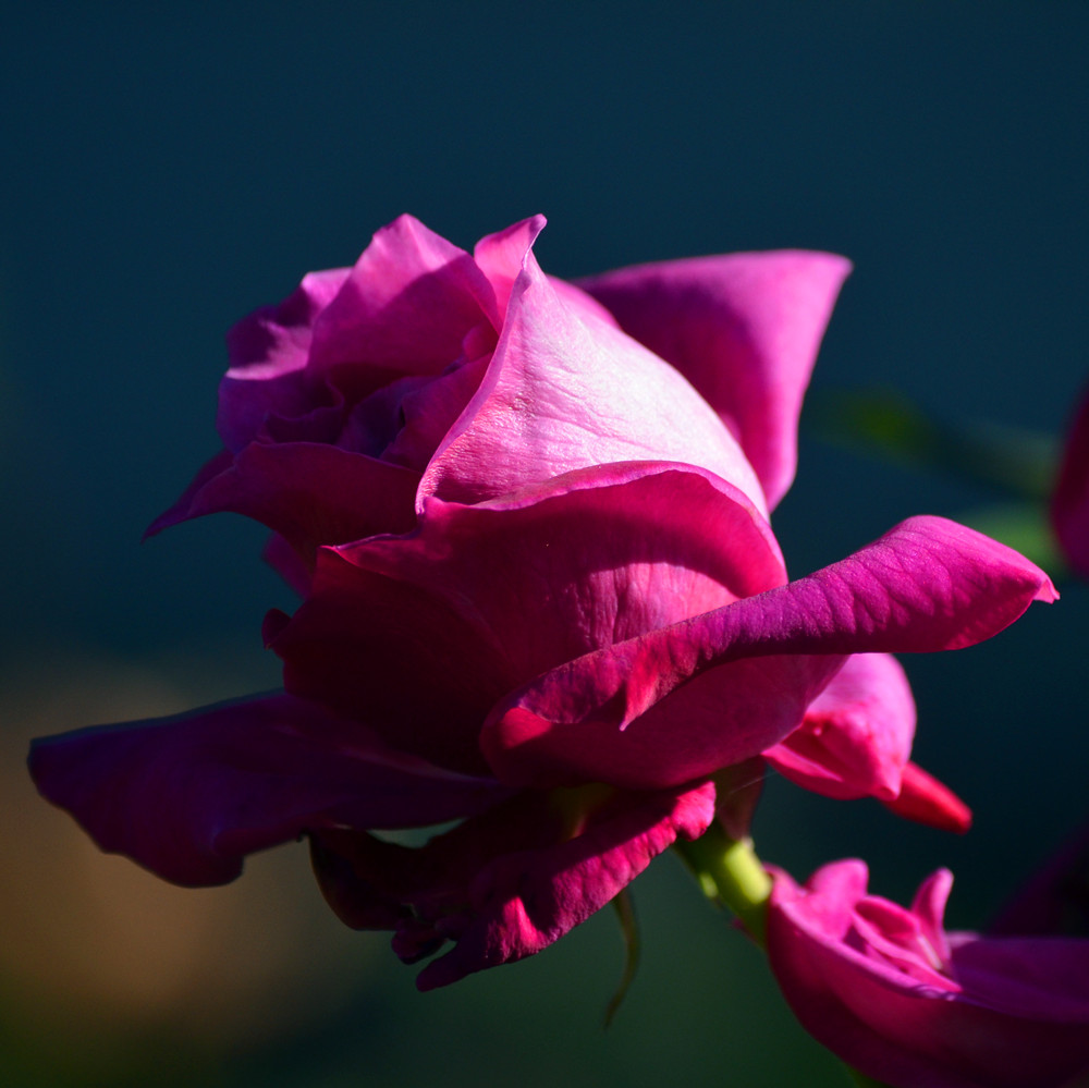 DSC_5985_59.jpg