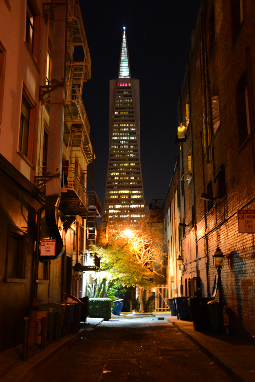 DSC_3490_17.jpg