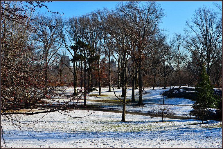 DSC_1899.jpg