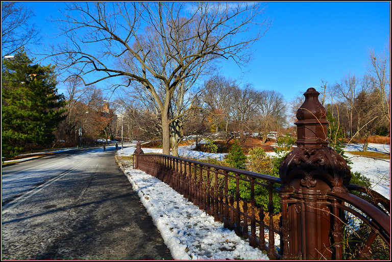 DSC_1894.jpg