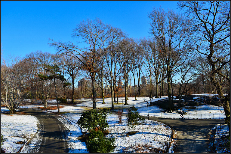 DSC_1895.jpg