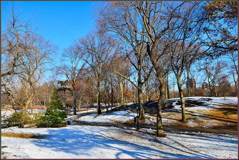 DSC_1893.jpg