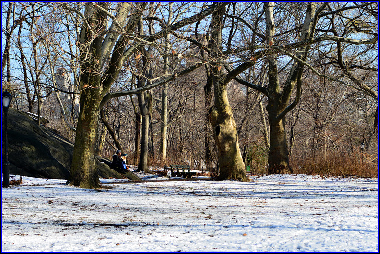 DSC_1844.jpg