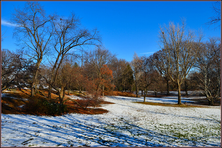 DSC_1898.jpg