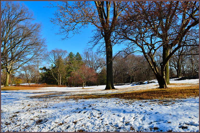 DSC_1901.jpg