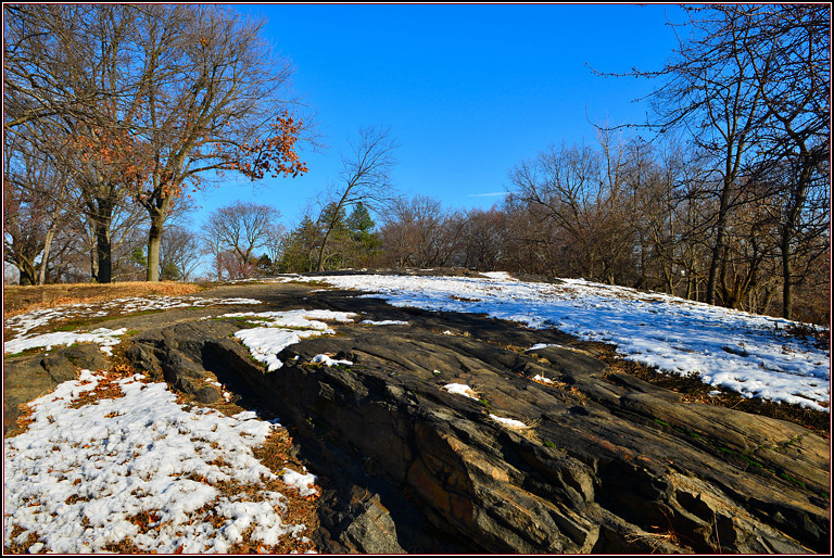 DSC_1900.jpg