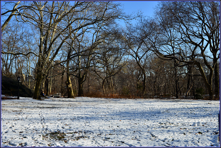 DSC_1843.jpg