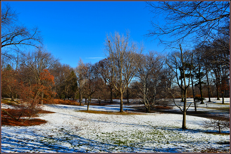 DSC_1896.jpg