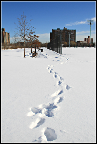 IMG_8853.jpg