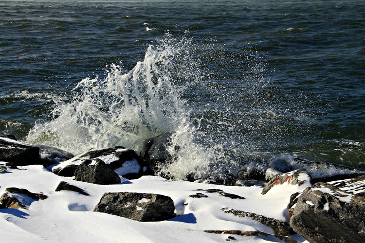 IMG_8893.jpg