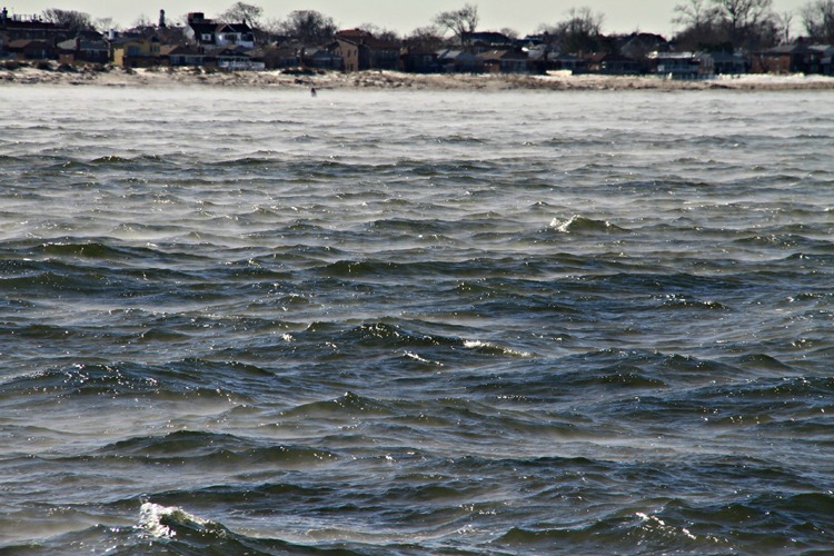 IMG_8910.jpg