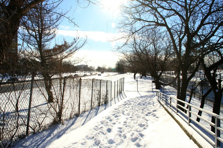 IMG_8797.jpg