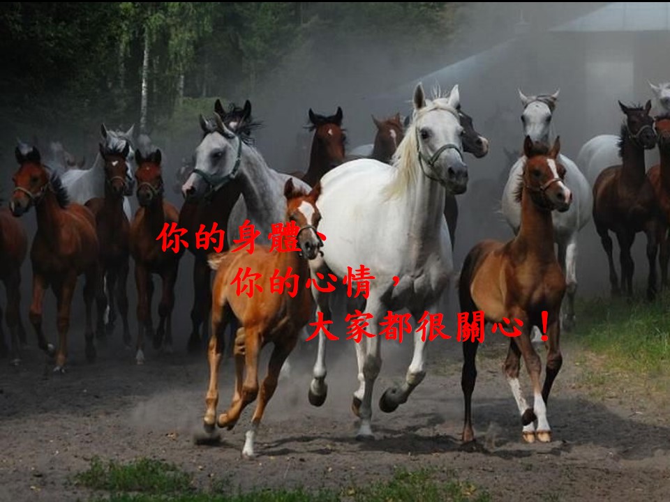 Slide16.JPG