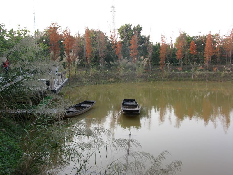 IMG_7262.jpg