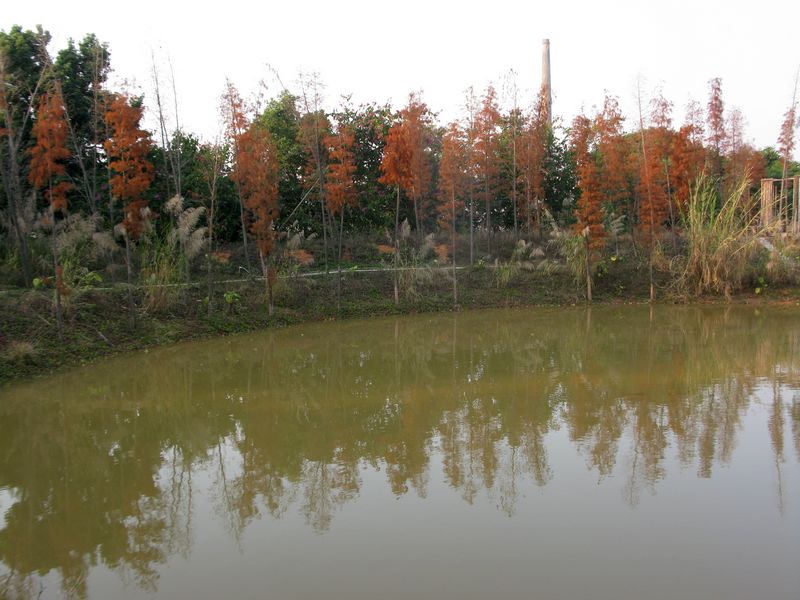 IMG_7270.jpg