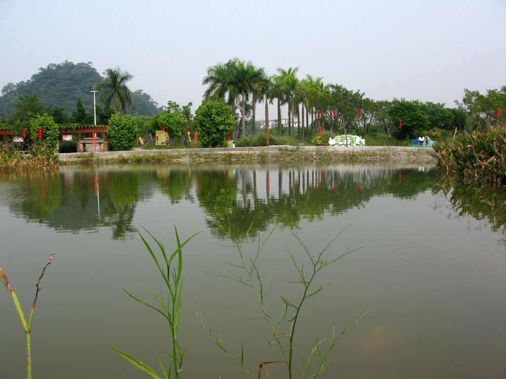 IMG_4456.jpg